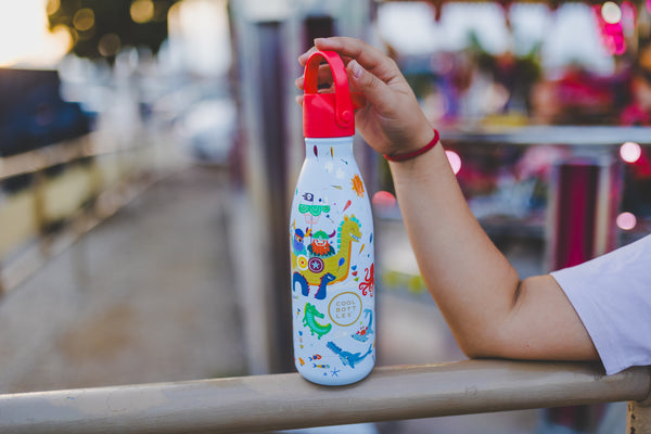 Cool Bottles - Kids 350ml - Playland Series - Brave Vikings