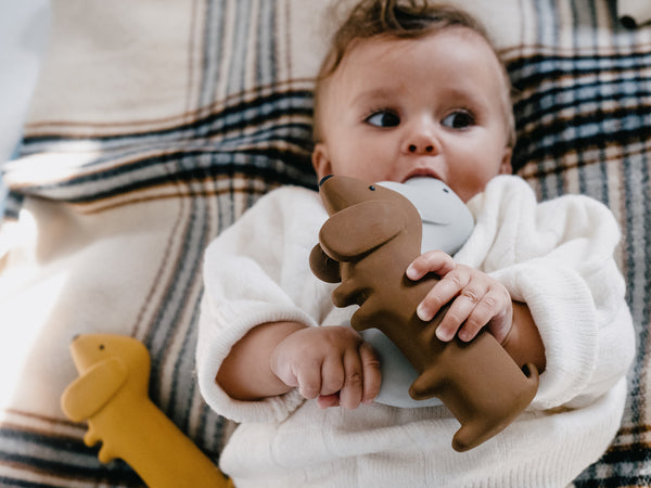 We are Gommu - Gommu Mini Choco Dog