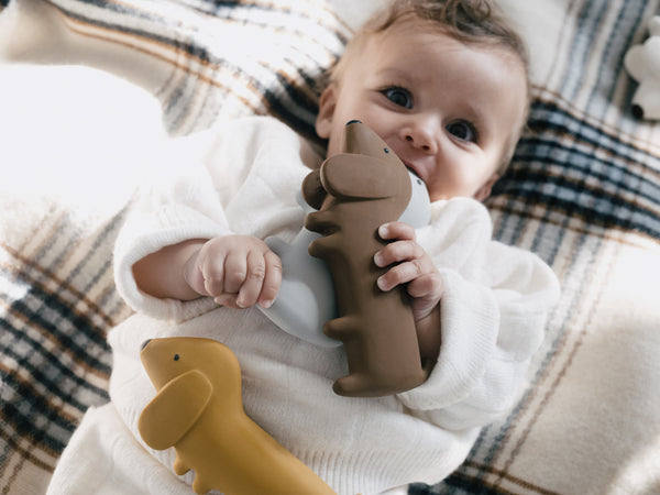 We are Gommu - Gommu Mini Choco Dog