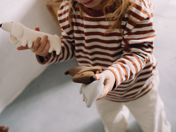 We are Gommu - Gommu Mini Choco Dog