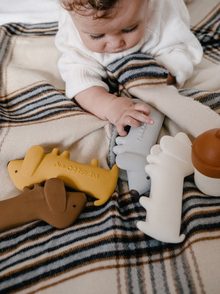 We are Gommu - Gommu Mini Ocean Dog