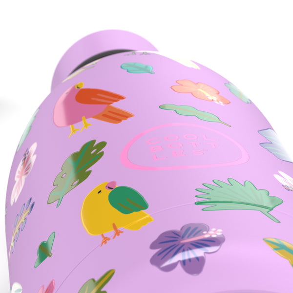 Cool Bottles - Kids 500ml -Discovery Series - Fly Free