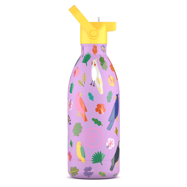 Cool Bottles - Kids 500ml -Discovery Series - Short Circuit