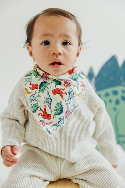 Copper Pearl - Jurassic Park Bibs