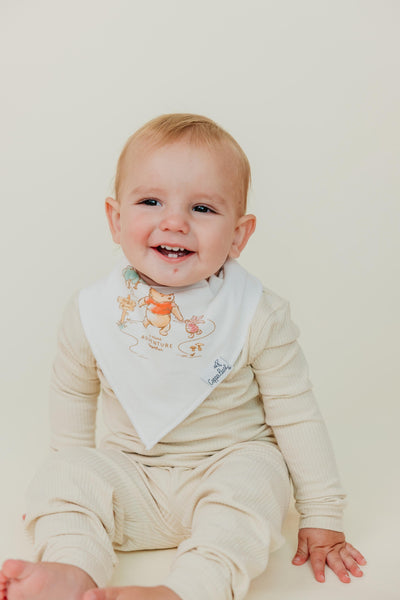 Copper Pearl - Winnie the Pooh and Tigger 6-Pack Bibs