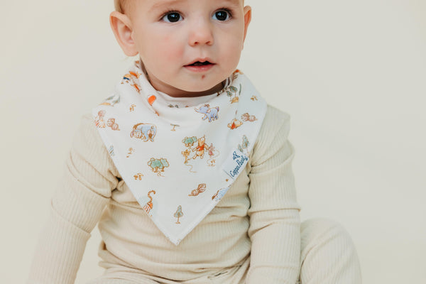 Copper Pearl - Winnie the Pooh and Tigger 6-Pack Bibs