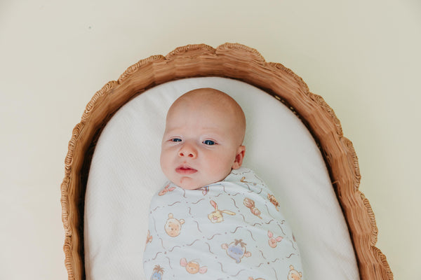 Copper Pearl - Classic Winnie the Pooh Swaddle Blanket