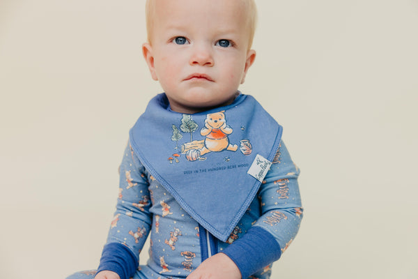 Copper Pearl - Winnie the Pooh and Tigger 6-Pack Bibs