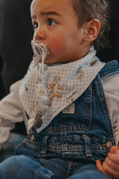 Copper Pearl - Hundred Acre Wood Binky Clips