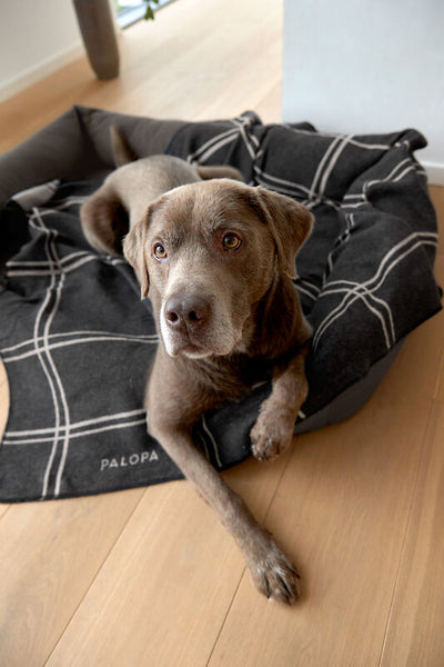 Palopa - Dog Blanket - Ida - squared anthracite/light grey L- Prepack of 2 - $65