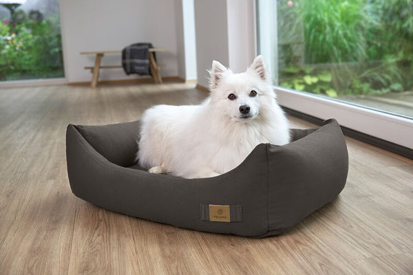 Palopa - Dog bed cotton - Fred - Anthracite - Prepack of 2 - $165-300