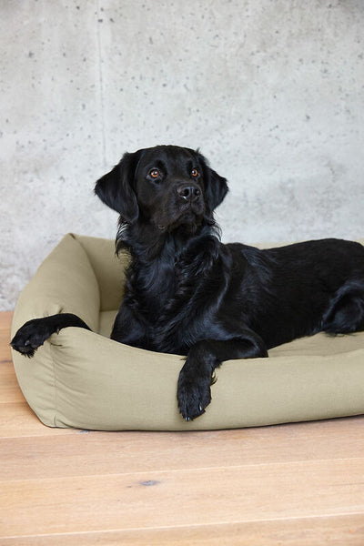 Palopa - Dog bed cotton - Fred - Anthracite - Prepack of 2 - $165-300