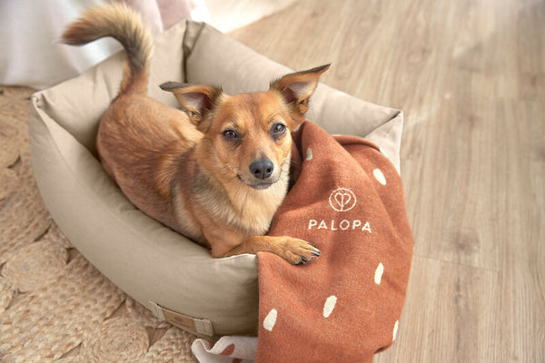 Palopa - Dog Blanket - Ida - Drops cinnamon/milky M- Prepack of 2 - $45