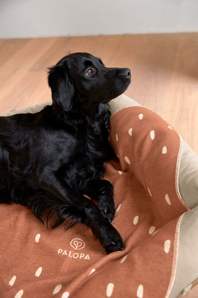 Palopa - Dog Blanket - Ida - Drops cinnamon/milky M- Prepack of 2 - $45
