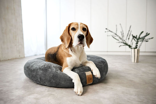 Palopa -Dog Bed Donut - Fippa - Taupe- Prepack of 2 - $100 -115