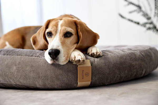 Palopa -Dog Bed Donut - Fippa - Taupe- Prepack of 2 - $100 -115