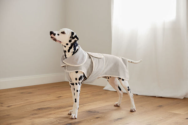 Palopa - Dog Bathrobe - Robi - Prepack of 2 - $45-65