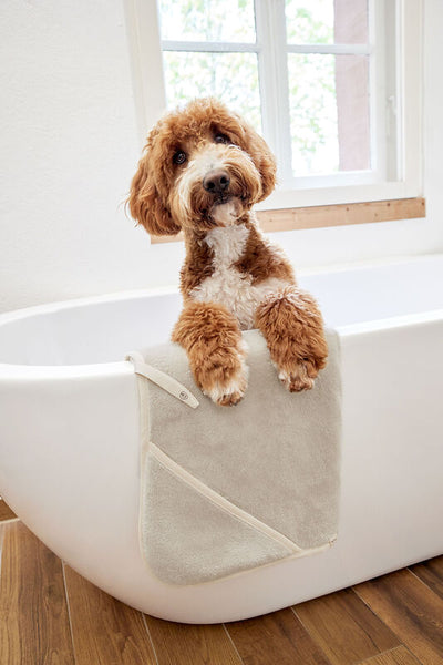 Palopa - Dog Towel  - Kosy - Beige S- Prepack of 2 - $30- 35