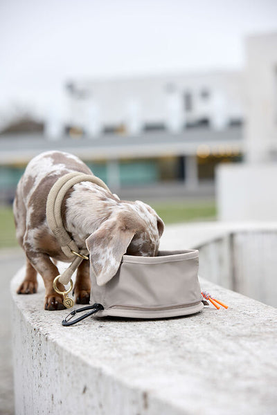 Palopa - Dog Bowl To Go - Tura- Taupe- Prepack of 2 - $35