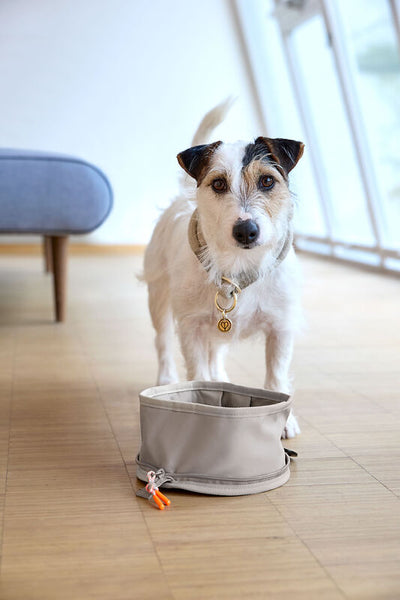 Palopa - Dog Bowl To Go - Tura- Taupe- Prepack of 2 - $35