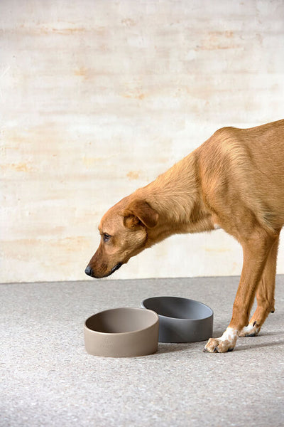 Palopa - Dog Bowl - Cali - Taupe - Prepack of 2 - $35