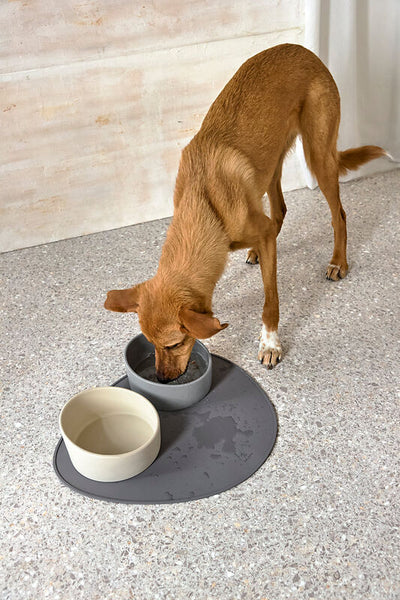 Palopa - Dog Bowl - Cali - Beige - Prepack of 2 - $35
