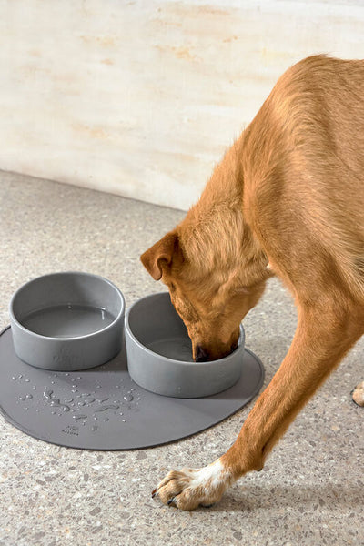 Palopa - Dog Bowl - Cali - Grey - Prepack of 2 - $35