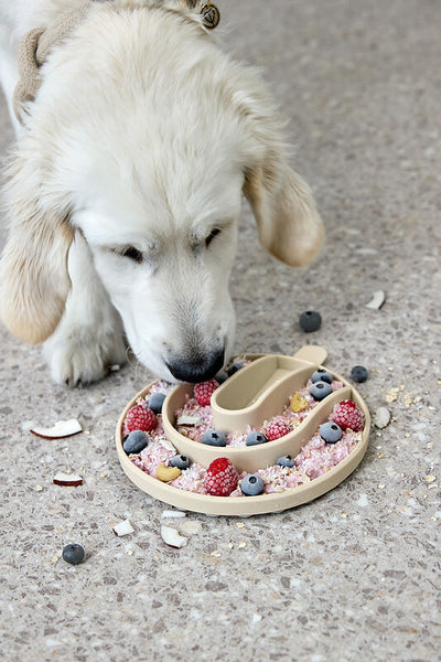 Palopa - Slow-Feed Insert - Yumo - Light Grey - Prepack of 2 - $25