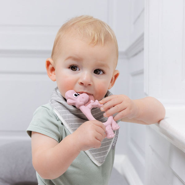 Bibado - Teething Toy: Dotty the Dinosaur™ : Blush