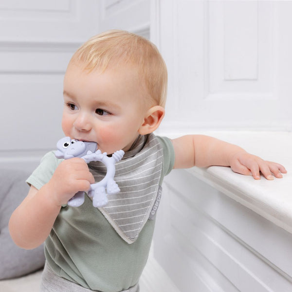 Bibado - Teething Toy: Dotty the Dinosaur™ : Mist