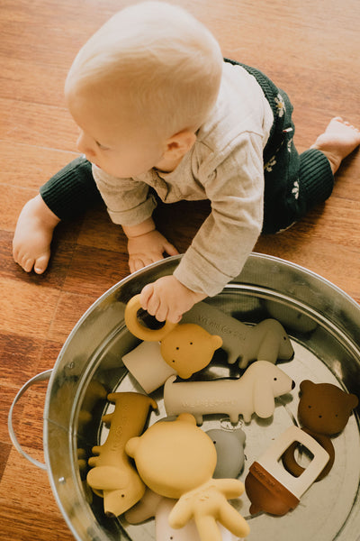 We are Gommu - Gommu Ring Bear Sienna