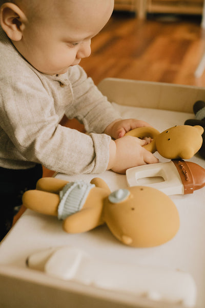 We are Gommu  -  Gommu Mini Baby Coco