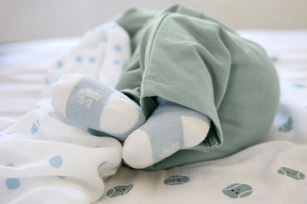 Lassig - Terry Socks GOTS 3 pcs Dog