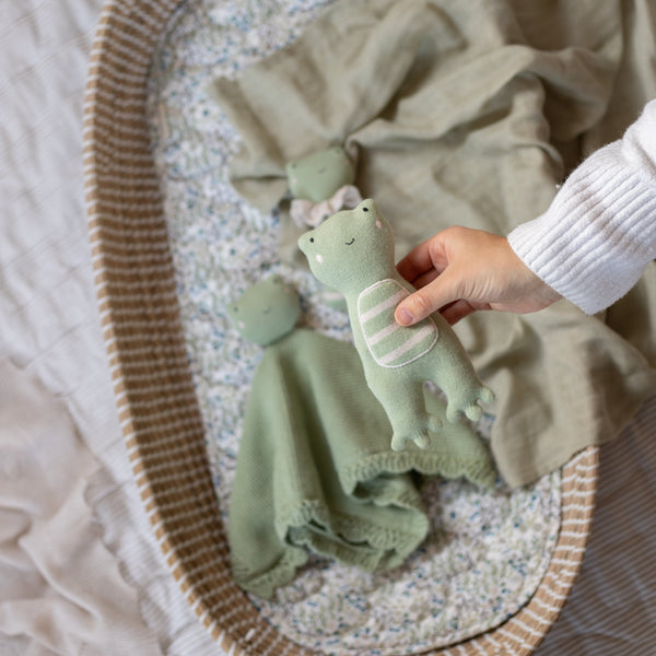 Avery Row - Little Hands Toy - Friendly Frog